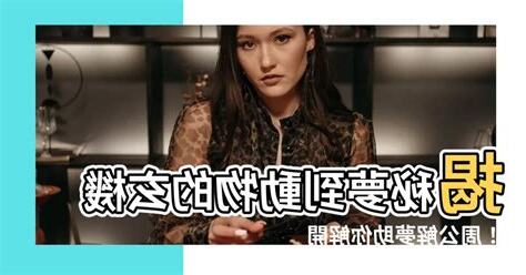 夢到動物 解夢
